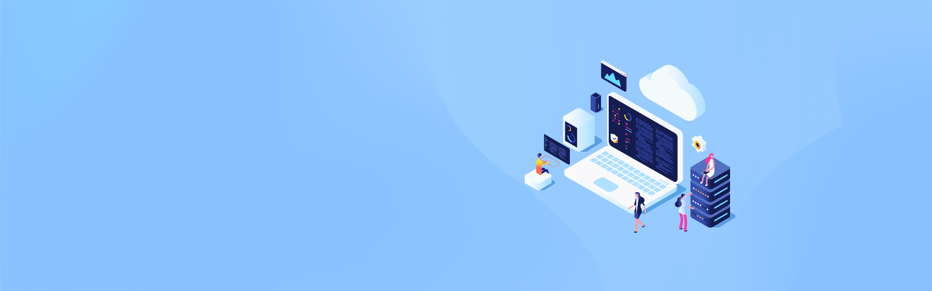 <strong>软件设计、网络设计</strong>