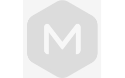 首战告捷，高端智能音箱梦